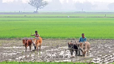 নতুন আইনে ভূমির অপরাধ কমবে কি