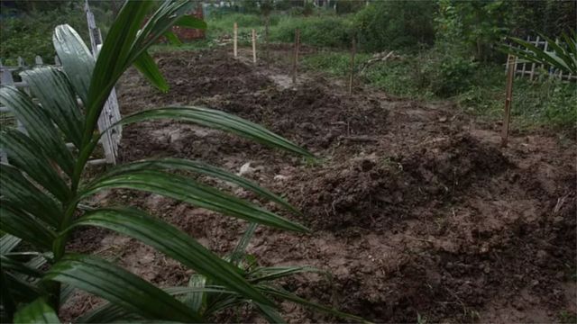 আত্মীয়কে দাফন করতে ‘আগ্নেয়াস্ত্রসহ ভাড়াটে বাহিনী’ নিয়ে গ্রামে!