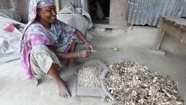 বাদামের ফলনে মুখে হাসির রেশ পড়েছে শাপলা বেগমের