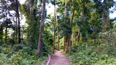 বনমন্ত্রীর এলাকায় সংরক্ষিত বন কেটে হবে সাফারি পার্ক, ‘আত্মঘাতী’ প্রকল্প বলছেন পরিবেশ বিদেরা