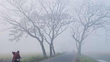 কাল থেকে সিলেটে শৈত্যপ্রবাহ, ঘন কুয়াশা থাকবে সপ্তাহজুড়ে