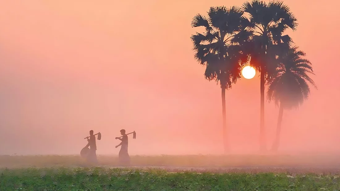 হিমেল হাওয়ায় এলো পৌষ