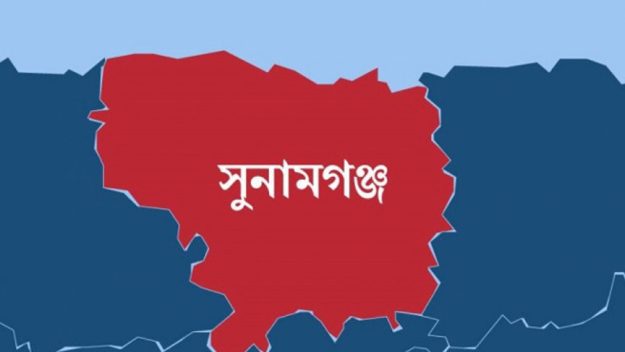 ঘোড়ার লাথিকে কেন্দ্র করে সংঘর্ষে নিহত ২