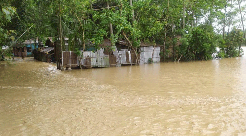 জকিগঞ্জে ডাইক ভেঙে ৫০টি গ্রাম প্লাবিত