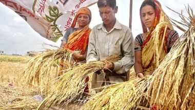 সরকারের কাছে ধান বিক্রি: ডিজিটাল বিড়ম্বনায় হয়রানির শিকার কৃষক