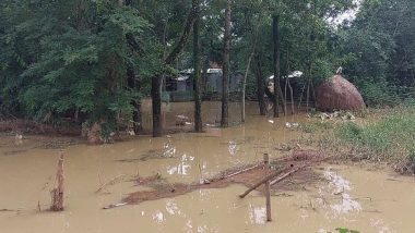 কানাইঘাটে কমতে শুরু করেছে বন্যার পানি