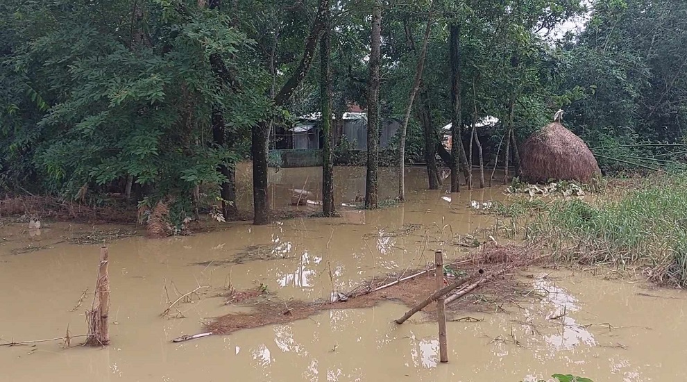 কানাইঘাটে কমতে শুরু করেছে বন্যার পানি