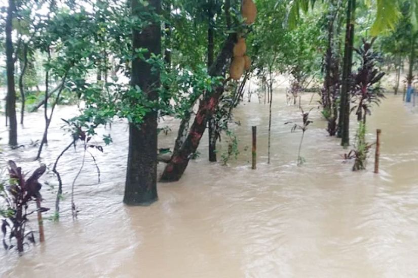 বন্যার পানিতে শিশুর নিথর দেহ