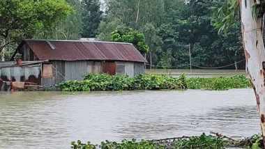 বন্যার পানিতে ডুবে প্রাণ গেলো মাইশার