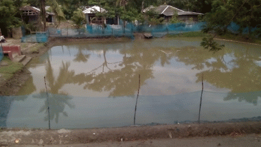 পুকুরের পানিতে প্রাণ গেলো দুই বোনের