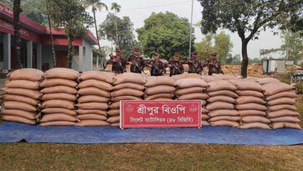 সিলেটে অর্ধকোটি টাকার চোরাই পণ্য জব্দ করল বিজিবি