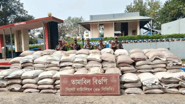 সিলেট সীমান্তে বিপুল পরিমাণ ফল-মাদক জব্দ : আটক ১