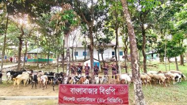 সীমান্তে আটক দুম্বা-ছাগল