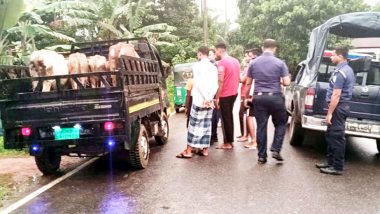 কুলাউড়ায় গোয়ালঘর থেকে চুরি হওয়া গরু ও পিকআপ উদ্ধার
