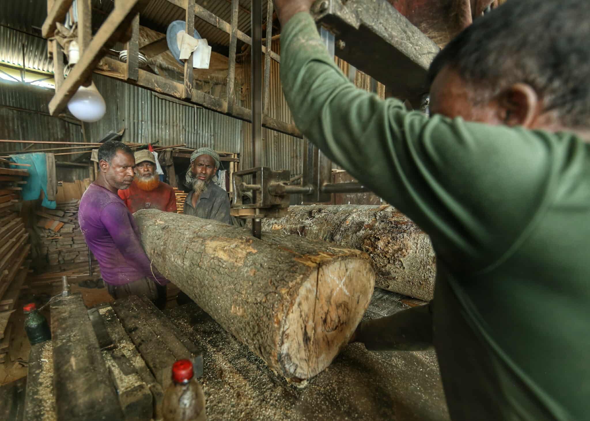 বিয়ানীবাজারের একডজন সো মিল: করাতের শব্দে হারিয়ে যায় শ্রমিকের জীবনের নিরাপত্তা