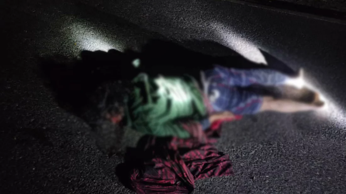 কাপ্তাইয়ে বন্যহাতির আক্রমণে নারী নিহত