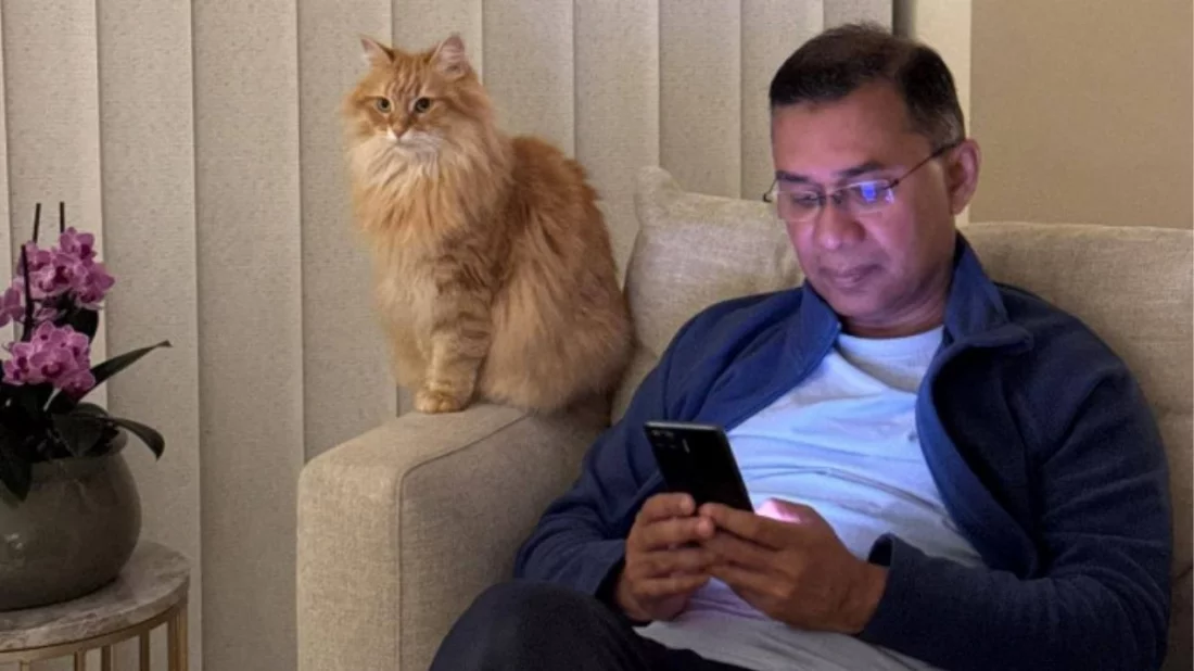 তারেক রহমানের সাথে দেশে ফিরছে পোষা বিড়াল ‘জেবু’