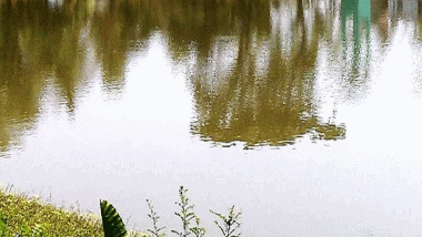 বড়লেখায় পুকুরে ডুবে প্রাণ গেল দুই বছরের শিশুর