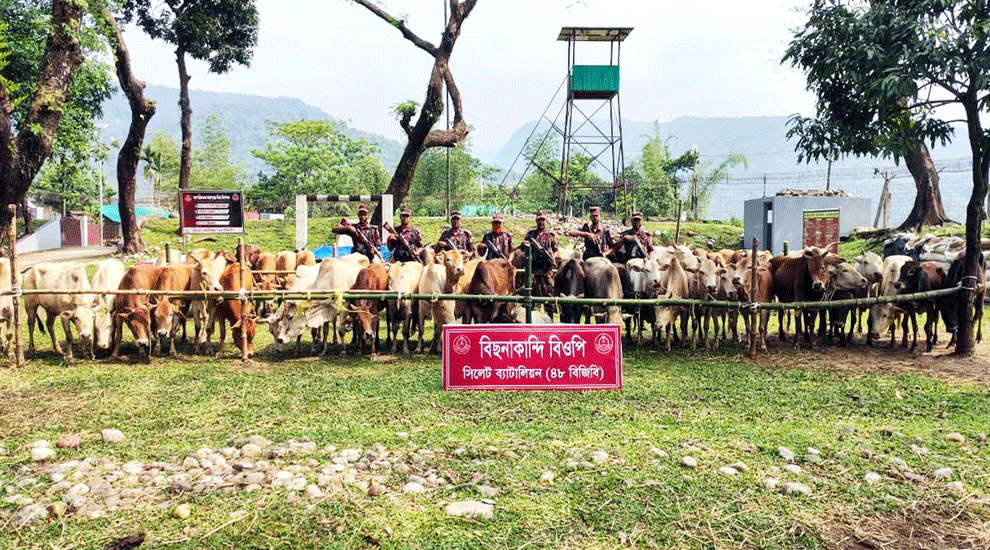 সিলেটে কোটি টাকার ভারতীয় পণ্য জব্দ