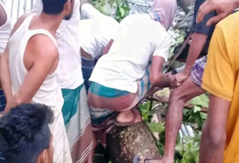 ঘরের ওপর গাছ পড়ে মা ও ২ মেয়ে নিহত