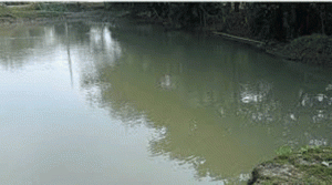 হবিগঞ্জে পুকুরের পানিতে ডুবে প্রাণ গেল ভাই-বোনের