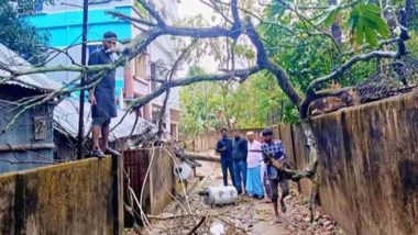 কমলগঞ্জে ঝড়ে বিদ্যুতের খুঁটি ভেঙে ৩ ট্রান্সফরমার ক্ষতিগ্রস্ত, সংযোগ বিচ্ছিন্ন