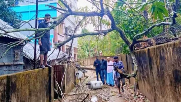 কমলগঞ্জে ঝড়ে বিদ্যুতের খুঁটি ভেঙে ৩ ট্রান্সফরমার ক্ষতিগ্রস্ত, সংযোগ বিচ্ছিন্ন
