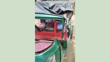 চলন্ত অটোরিকশায় ভেঙে পড়ল গাছ, নিহত ১