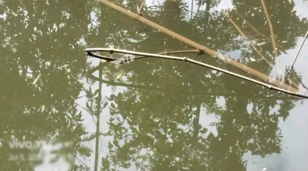 বিয়ানীবাজারে পুকুরে ভাসছিল যুবকের লাশ 