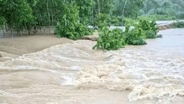 ঘাস কেটে ফেরার পথে ধলাই নদীতে নিখোঁজ মাসুক