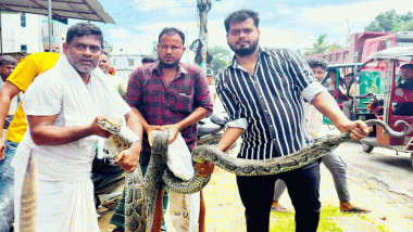 শ্রীমঙ্গলে ১৮ ফুট লম্বা অজগর উদ্ধার