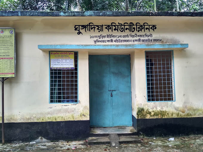 বিয়ানীবাজারে জন্মহার বেড়েছে: খুড়িয়ে চলছে পরিবার পরিকল্পনা কর্মসূচি