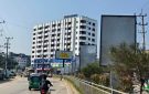 গাছ ঢেকে যায় বিজ্ঞাপনে